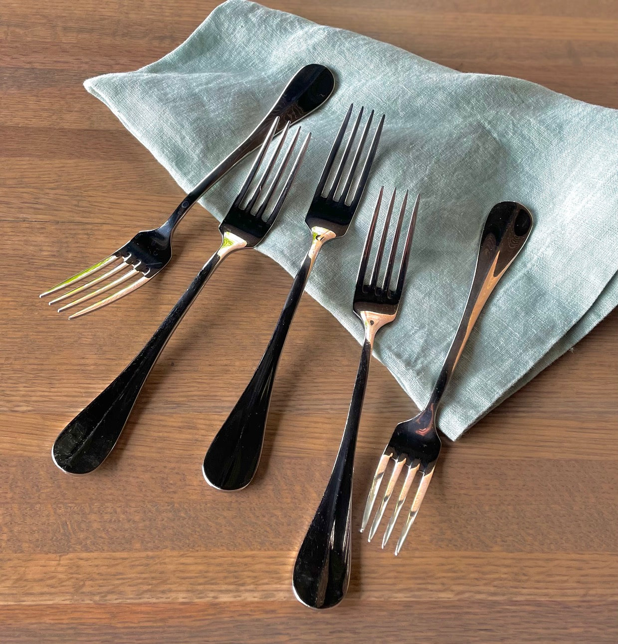 Mirrored Dinner 10-Piece Fork Set